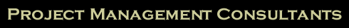 Project management consultants