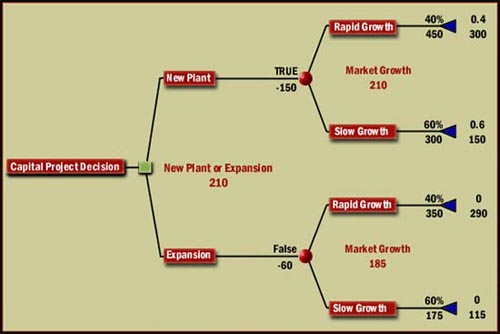 Capital Project Decision Tree